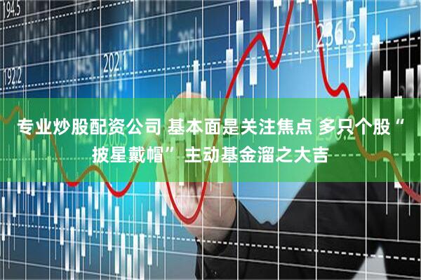 专业炒股配资公司 基本面是关注焦点 多只个股“披星戴帽” 主动基金溜之大吉