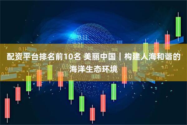 配资平台排名前10名 美丽中国｜构建人海和谐的海洋生态环境