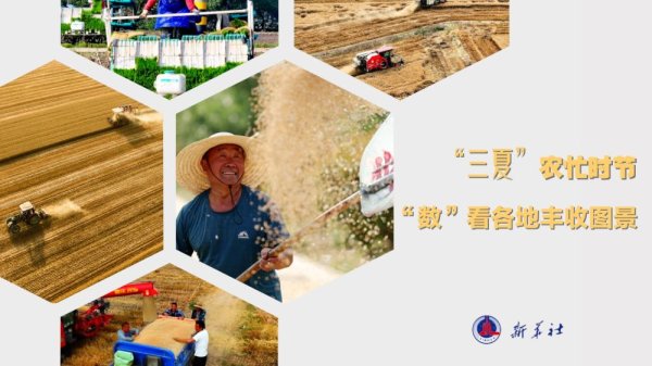 配资查询网站 微视频｜“三夏”农忙时节&#32;“数”看各地丰收图景