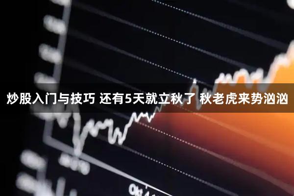 炒股入门与技巧 还有5天就立秋了 秋老虎来势汹汹