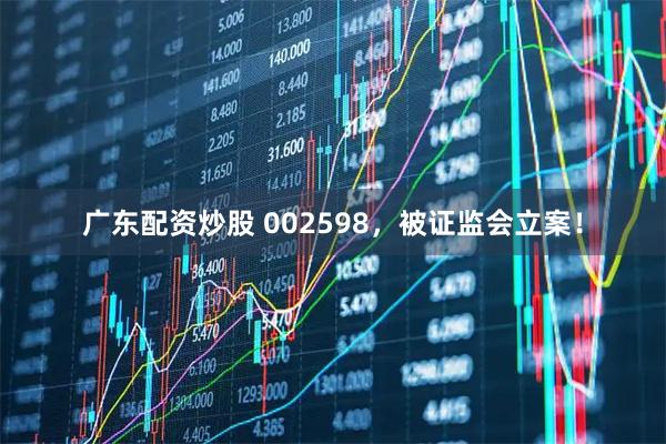 广东配资炒股 002598，被证监会立案！